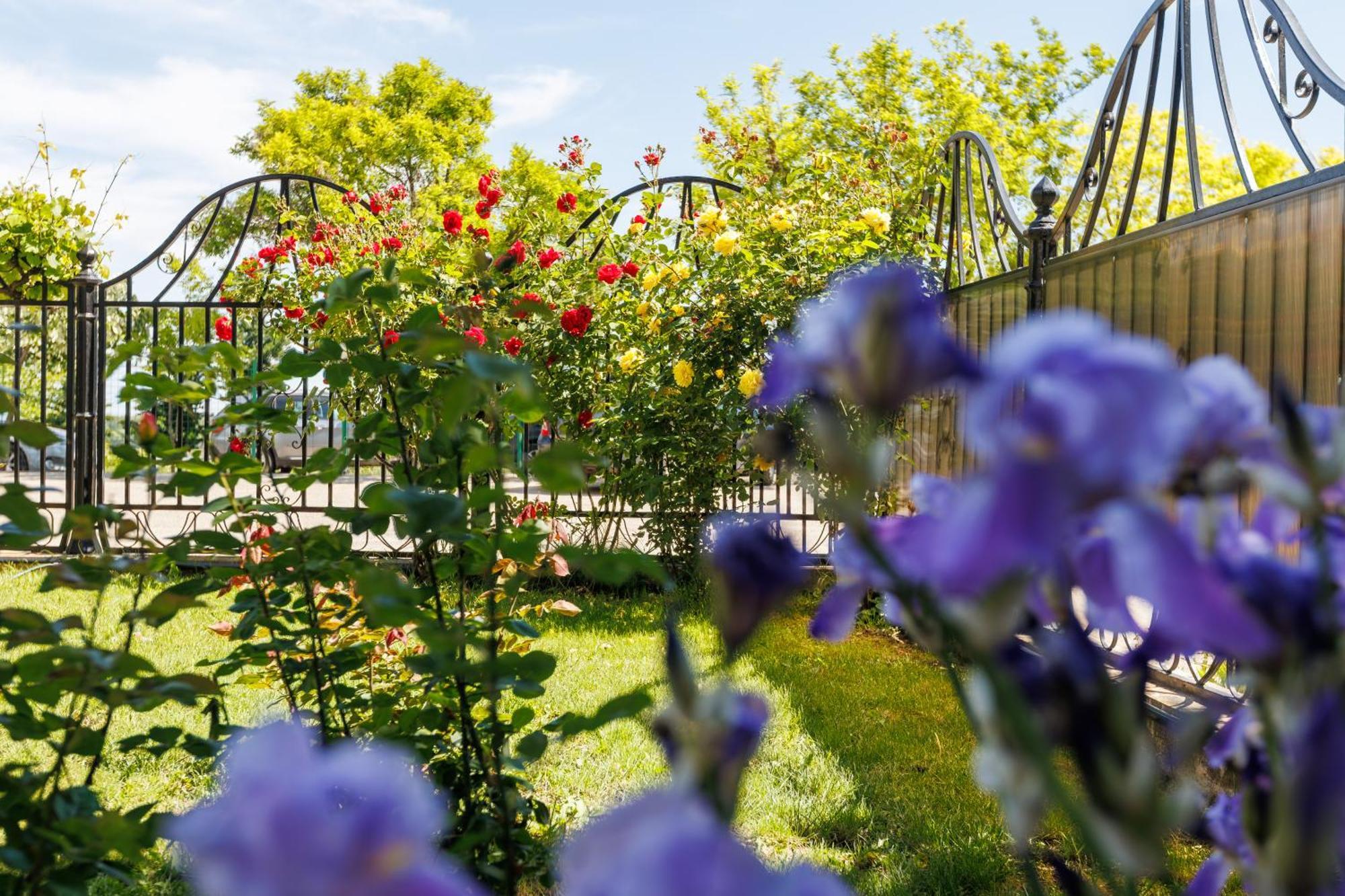 Vila Belvedere Gałacz Zewnętrze zdjęcie